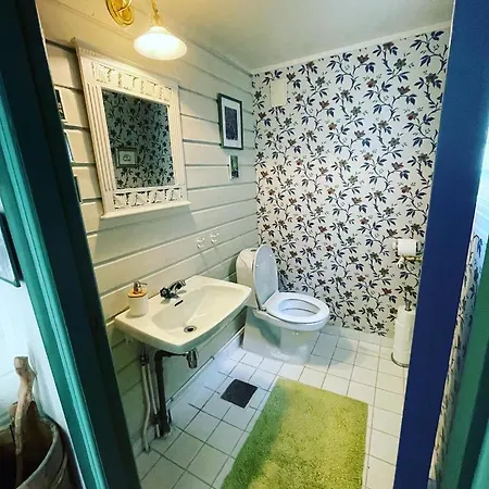 Aobrio Holidayhouse, Authentic Norwegian Close To Flam Дом отдыха Лердалсёйри