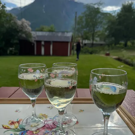Aobrio Holidayhouse, Authentic Norwegian Close To Flam Tatil Evi Lærdalsøyri