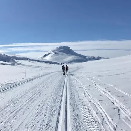 Aobrio Holidayhouse, Authentic Norwegian Close To Flam Lærdalsøyri