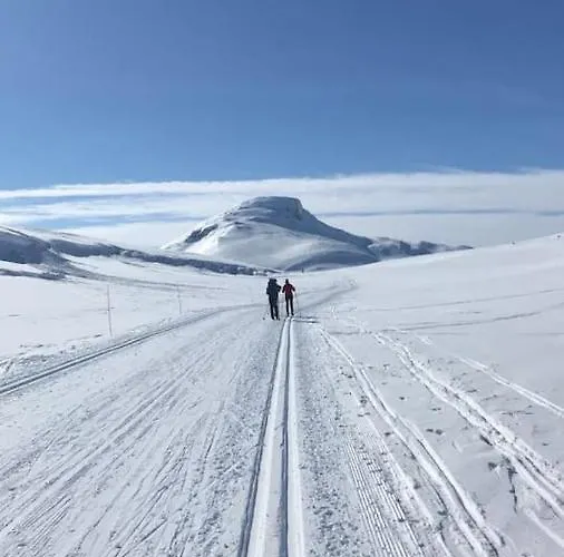 Aobrio Holidayhouse, Authentic Norwegian Close To Flam Lærdalsøyri