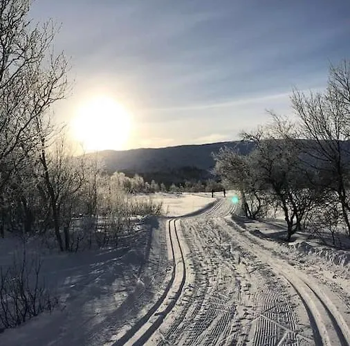 Tatil Evi Aobrio Holidayhouse, Authentic Norwegian Close To Flam